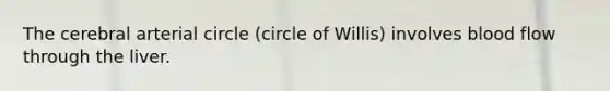 The cerebral arterial circle (circle of Willis) involves blood flow through the liver.