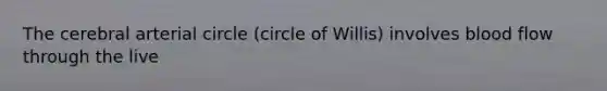 The cerebral arterial circle (circle of Willis) involves blood flow through the live