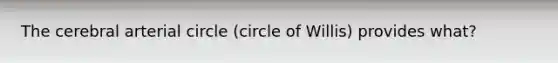 The cerebral arterial circle (circle of Willis) provides what?