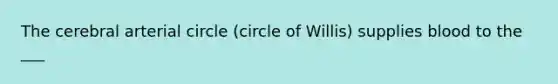 The cerebral arterial circle (circle of Willis) supplies blood to the ___