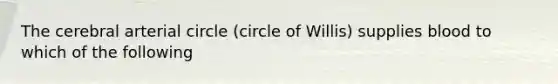 The cerebral arterial circle (circle of Willis) supplies blood to which of the following