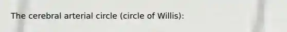 The cerebral arterial circle (circle of Willis):