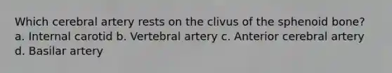 Which cerebral artery rests on the clivus of the sphenoid bone? a. Internal carotid b. Vertebral artery c. Anterior cerebral artery d. Basilar artery