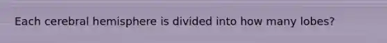 Each cerebral hemisphere is divided into how many lobes?