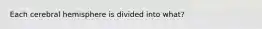 Each cerebral hemisphere is divided into what?