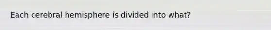 Each cerebral hemisphere is divided into what?