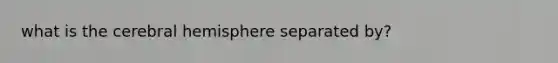 what is the cerebral hemisphere separated by?