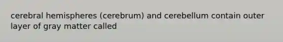 cerebral hemispheres (cerebrum) and cerebellum contain outer layer of gray matter called