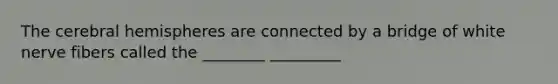 The cerebral hemispheres are connected by a bridge of white nerve fibers called the ________ _________