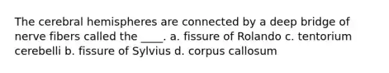 The cerebral hemispheres are connected by a deep bridge of nerve fibers called the ____. a. fissure of Rolando c. tentorium cerebelli b. fissure of Sylvius d. corpus callosum