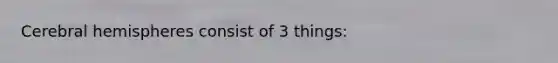 Cerebral hemispheres consist of 3 things: