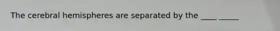 The cerebral hemispheres are separated by the ____ _____