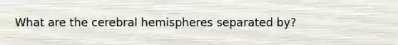 What are the cerebral hemispheres separated by?