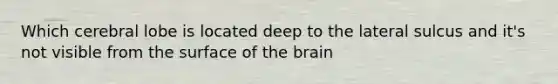 Which cerebral lobe is located deep to the lateral sulcus and it's not visible from the surface of the brain