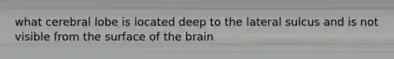 what cerebral lobe is located deep to the lateral sulcus and is not visible from the surface of <a href='https://www.questionai.com/knowledge/kLMtJeqKp6-the-brain' class='anchor-knowledge'>the brain</a>