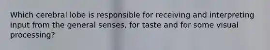 Which cerebral lobe is responsible for receiving and interpreting input from the general senses, for taste and for some visual processing?