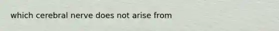 which cerebral nerve does not arise from