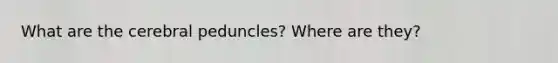 What are the cerebral peduncles? Where are they?