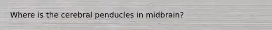 Where is the cerebral penducles in midbrain?