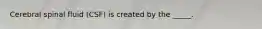 Cerebral spinal fluid (CSF) is created by the _____.