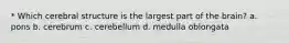 * Which cerebral structure is the largest part of the brain? a. pons b. cerebrum c. cerebellum d. medulla oblongata