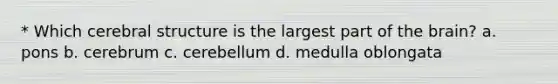 * Which cerebral structure is the largest part of the brain? a. pons b. cerebrum c. cerebellum d. medulla oblongata