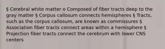 § Cerebral white matter o Composed of fiber tracts deep to the gray matter § Corpus callosum connects hemispheres § Tracts, such as the corpus callosum, are known as commissures § Association fiber tracts connect areas within a hemisphere § Projection fiber tracts connect the cerebrum with lower CNS centers