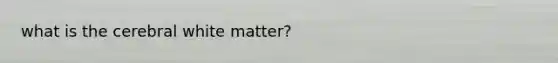 what is the cerebral white matter?