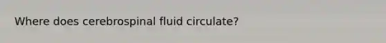 Where does cerebrospinal fluid circulate?