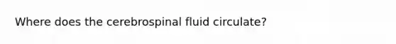 Where does the cerebrospinal fluid circulate?