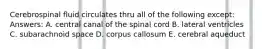 Cerebrospinal fluid circulates thru all of the following except: Answers: A. central canal of the spinal cord B. lateral ventricles C. subarachnoid space D. corpus callosum E. cerebral aqueduct