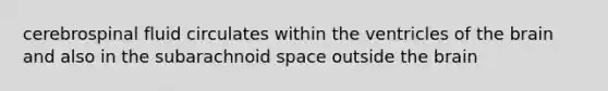 cerebrospinal fluid circulates within the ventricles of the brain and also in the subarachnoid space outside the brain