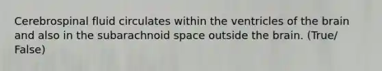 Cerebrospinal fluid circulates within the ventricles of the brain and also in the subarachnoid space outside the brain. (True/ False)