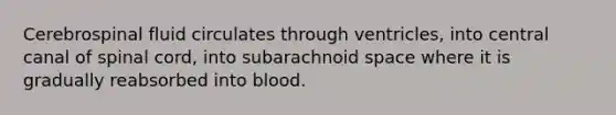 Cerebrospinal fluid circulates through ventricles, into central canal of spinal cord, into subarachnoid space where it is gradually reabsorbed into blood.