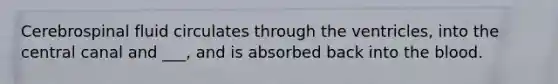 Cerebrospinal fluid circulates through the ventricles, into the central canal and ___, and is absorbed back into the blood.