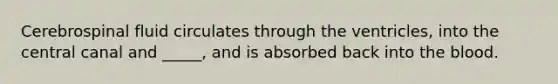 Cerebrospinal fluid circulates through the ventricles, into the central canal and _____, and is absorbed back into the blood.