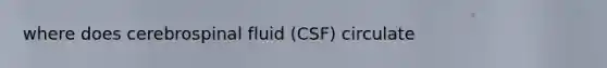 where does cerebrospinal fluid (CSF) circulate