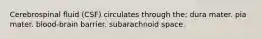 Cerebrospinal fluid (CSF) circulates through the: dura mater. pia mater. blood-brain barrier. subarachnoid space.