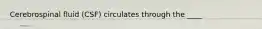 Cerebrospinal fluid (CSF) circulates through the ____