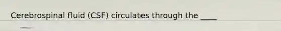 Cerebrospinal fluid (CSF) circulates through the ____