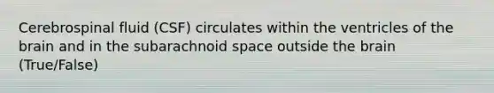 Cerebrospinal fluid (CSF) circulates within the ventricles of the brain and in the subarachnoid space outside the brain (True/False)