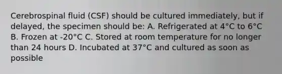 Cerebrospinal fluid (CSF) should be cultured immediately, but if delayed, the specimen should be: A. Refrigerated at 4°C to 6°C B. Frozen at -20°C C. Stored at room temperature for no longer than 24 hours D. Incubated at 37°C and cultured as soon as possible