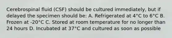 Cerebrospinal fluid (CSF) should be cultured immediately, but if delayed the specimen should be: A. Refrigerated at 4°C to 6°C B. Frozen at -20°C C. Stored at room temperature for no longer than 24 hours D. Incubated at 37°C and cultured as soon as possible