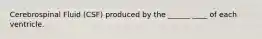 Cerebrospinal Fluid (CSF) produced by the ______ ____ of each ventricle.