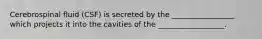 Cerebrospinal fluid (CSF) is secreted by the _________________ which projects it into the cavities of the __________________.