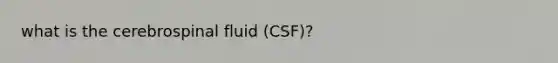 what is the cerebrospinal fluid (CSF)?