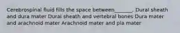 Cerebrospinal fluid fills the space between_______. Dural sheath and dura mater Dural sheath and vertebral bones Dura mater and arachnoid mater Arachnoid mater and pia mater