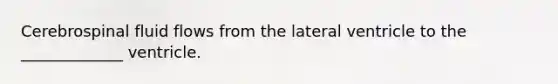Cerebrospinal fluid flows from the lateral ventricle to the _____________ ventricle.