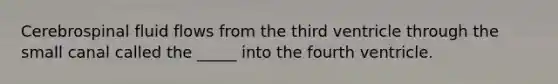 Cerebrospinal fluid flows from the third ventricle through the small canal called the _____ into the fourth ventricle.