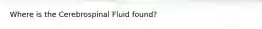 Where is the Cerebrospinal Fluid found?